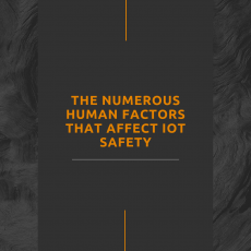 The Numerous Human Factors that Affect IoT Safety
